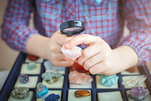 A hobbyist looks at his collection of minerals. 