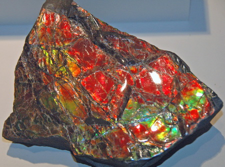 Ammolite: A Marine Fossil Gemstone
