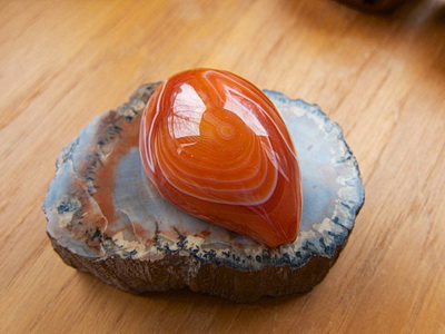 Red Sardonyx Agate Carved Cowrie Shell