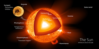 Illustration of he Sun's components